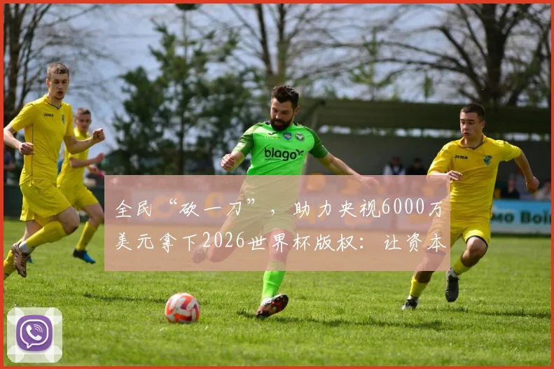 全民“砍一刀”，助力央视6000万美元拿下2026世界杯版权：让资本明确中国球迷绝不任人拿捏