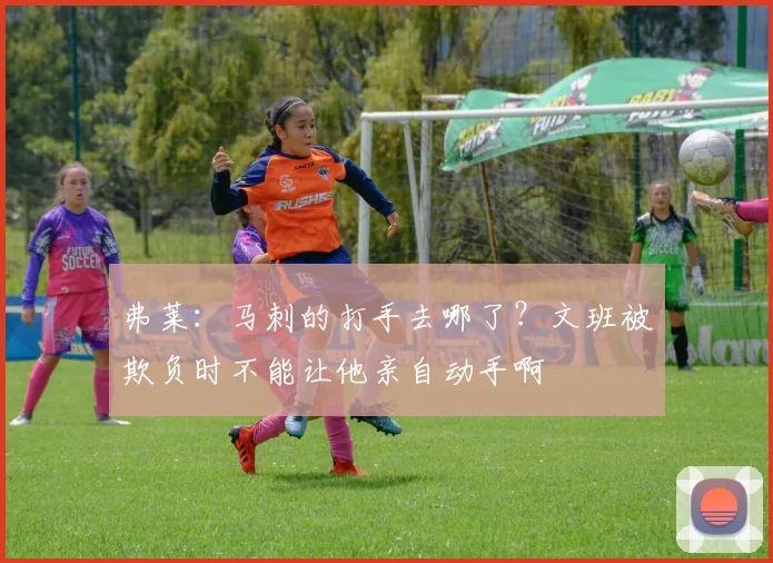 弗莱：马刺的打手去哪了？文班被欺负时不能让他亲自动手啊