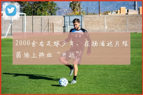2000余名足球少年，在杨浦这片绿茵场上热血“开战”