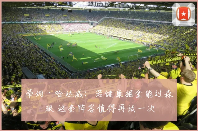 蒂姆·哈达威：若健康掘金能过森林狼 这套阵容值得再试一次