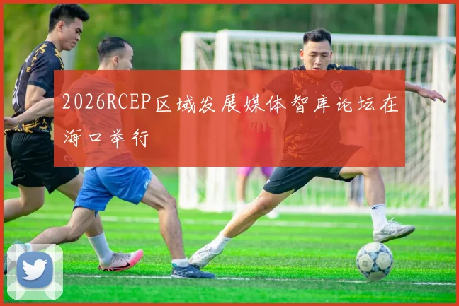 2026RCEP区域发展媒体智库论坛在海口举行